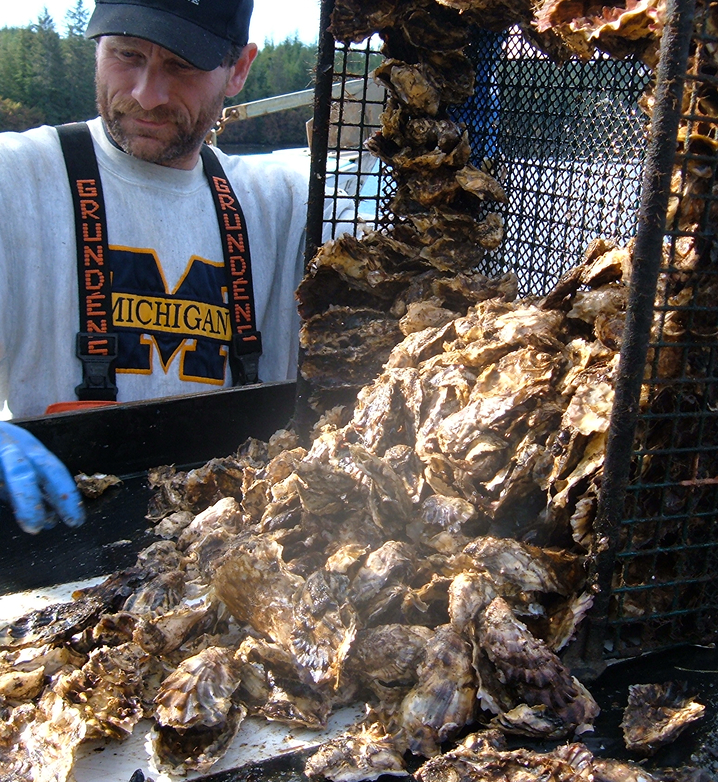 Alaska Mariculture