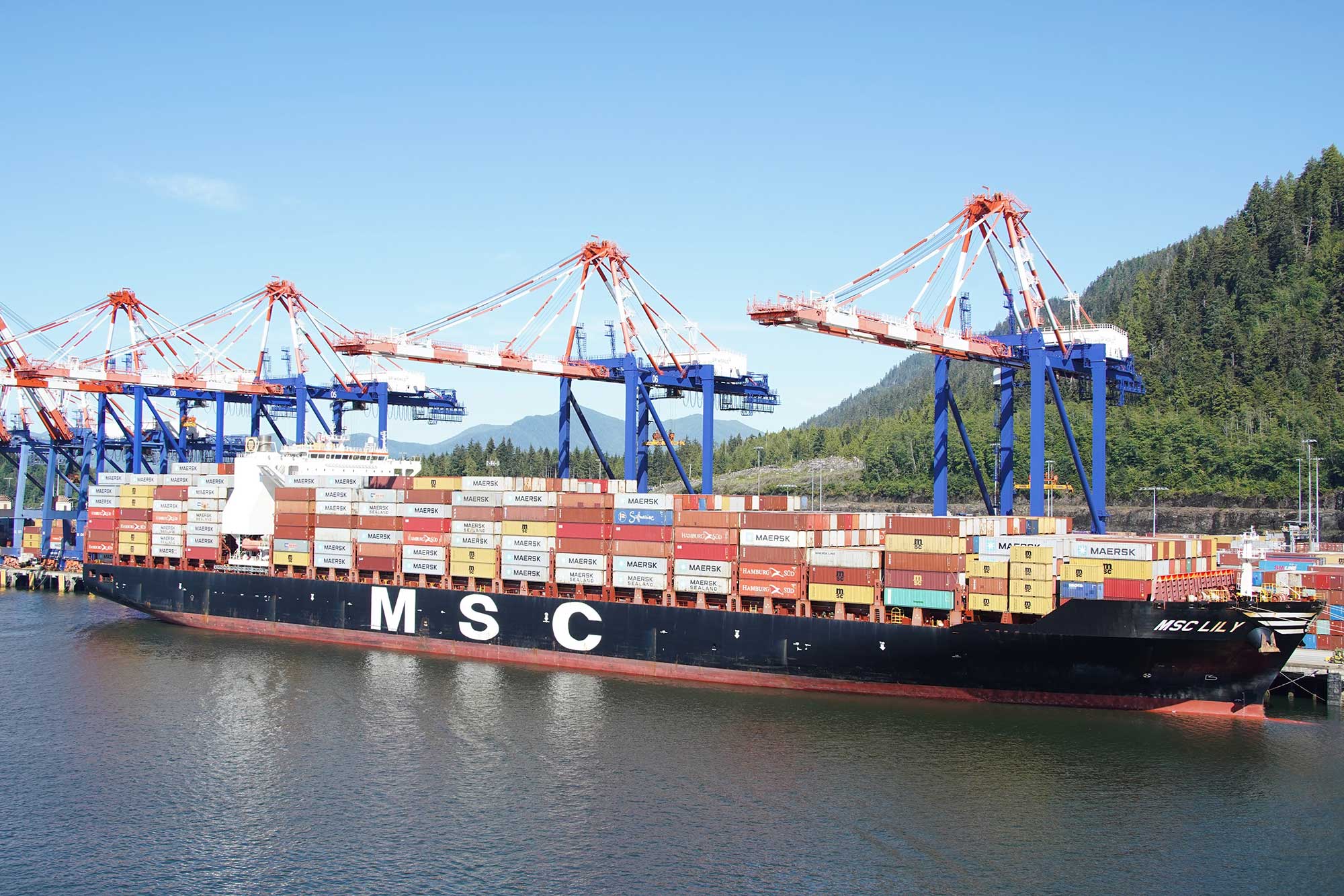 A large cargo ship named MSC is docked by the water, surrounded by cranes. The sky is clear above, and the river reflects the ship's structure and containers.