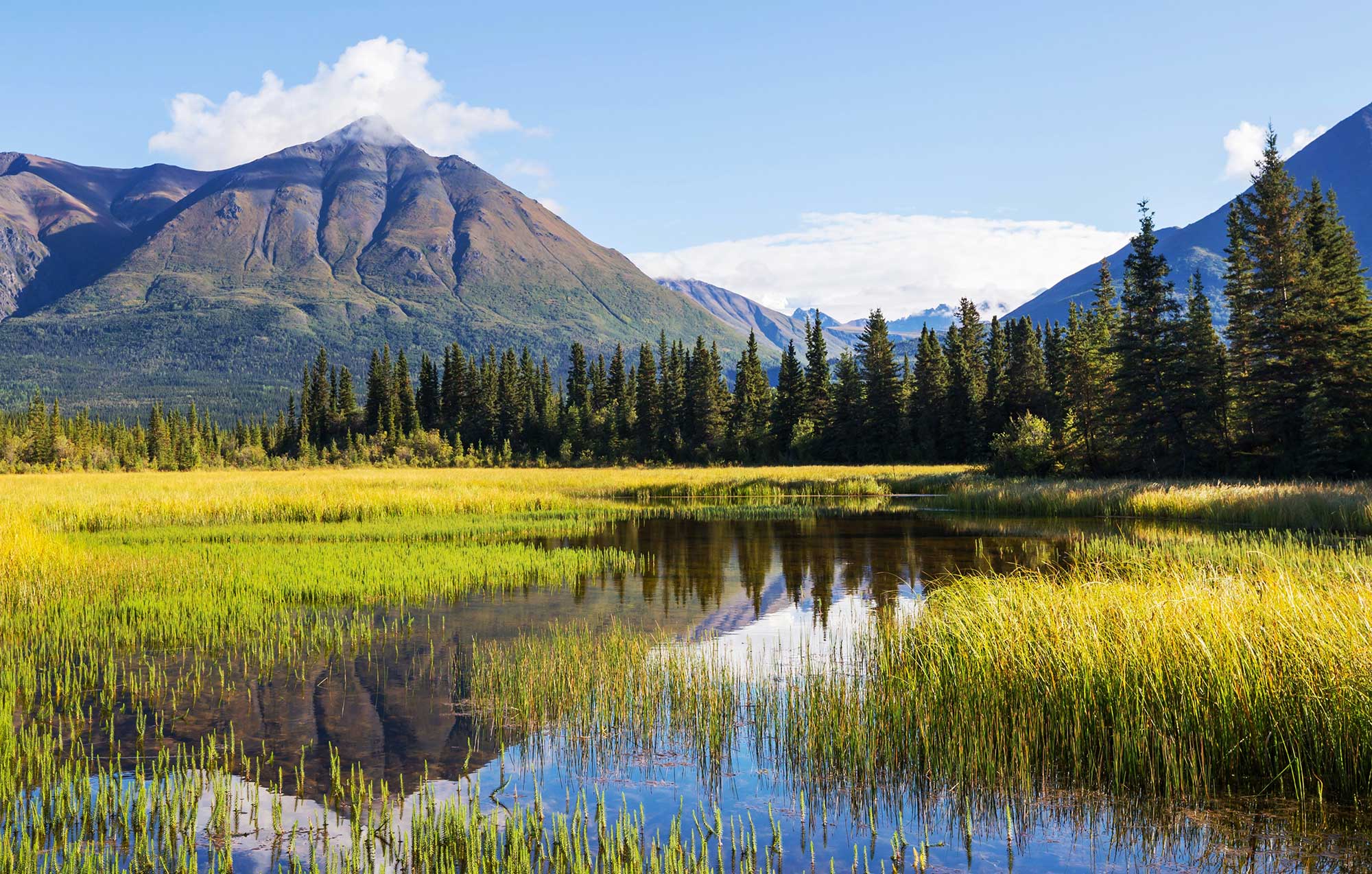A serene lake surrounded by lush trees and towering mountains in the background, reflecting the natural beauty of the landscape. The sky is partly cloudy, enhancing the wilderness atmosphere of this picturesque outdoor scene.